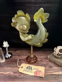 Image 2 of NAIA Preserved Specimen