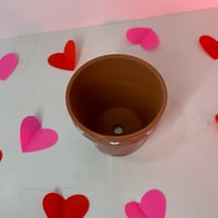 Image 4 of Valentines Day Decorative 4”inch Pot with Marble Queen Pothos