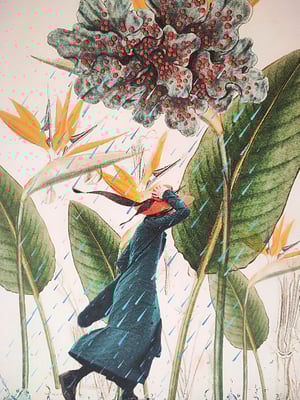 Image of Lluvias de Abril.