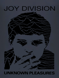 Image 8 of Camiseta M/L Joy Division 