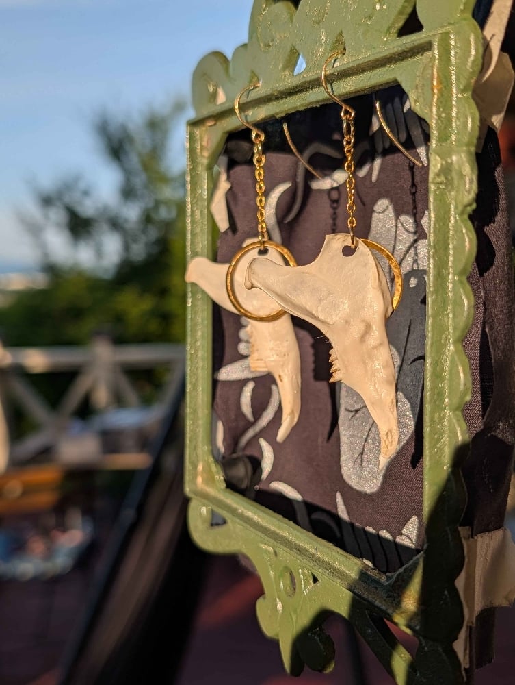 Image of rabbit jawbone earrings