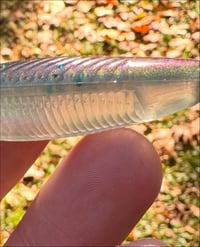 Image 4 of Tracer Shads - ZERO TOLERANCE