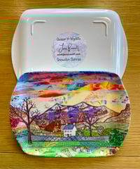 Image 12 of Melamine scatter trays 