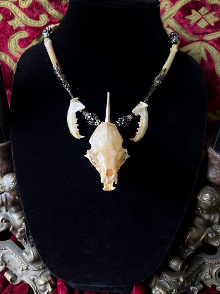 Image of Mink Skull Pendant - Bone Necklace 