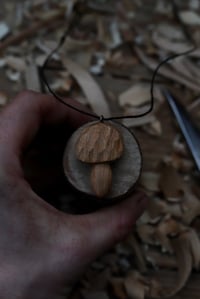 Image 4 of Cherry Wood Cep Mushroom 