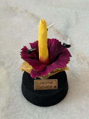 Image of Corpse flower paper plant