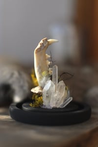 Image 5 of Campana con mandibola di gatto