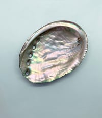 Image 1 of Abalone Seashell trinket dish
