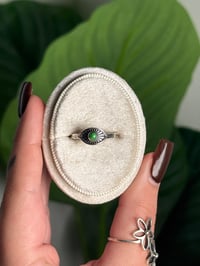 Image 1 of .925 SS GREEN MOHAVE TURQUOISE RING ADJUSTABLE SIZES 5-12