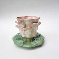 Image 4 of water lily (pink)
