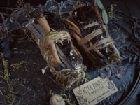 Image 4 of Alter bundles with mugwort, coffin nails, obsidian, and bones 