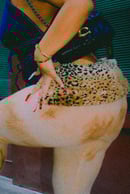 Image 4 of Printed Leopard Belt
