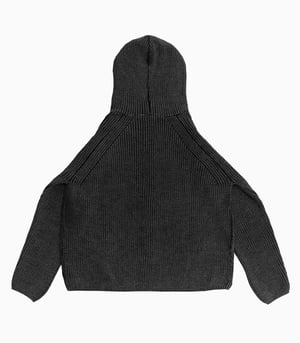 Image of PROTÉMOA - Human Matching Hoodie