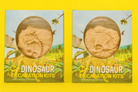 Image 2 of Dinosaur Dig Kit.