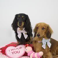 Image 1 of CUPID BLUE SAILOR BOW