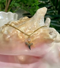 Image 2 of Shark Tooth Necklace ST112