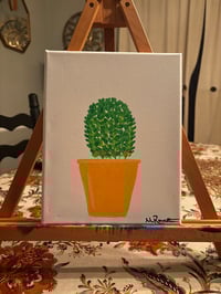Potted Plant