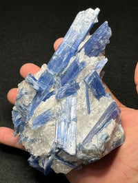 Image 19 of Blue Kyanite & Quartz Specimen #2449
