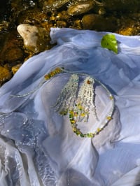 Image 5 of Aqua & Sun