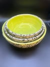 Dog Dishes