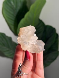 Image 3 of BOWTIE STILBITE X DIAMOND APOPHYLITE -INDIA- D