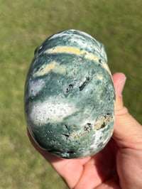 Image 12 of Ocean Jasper Skull #2177