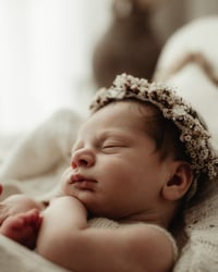 Image 14 of Briar