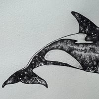 Image 6 of Milkyway Orca 
