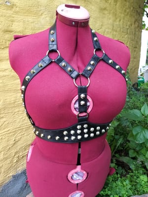 Image of Luna harness XS/S