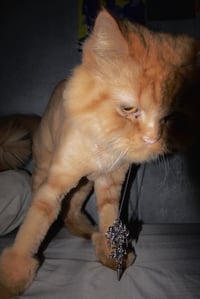 Image 2 of ELEKTRA NECKLACE