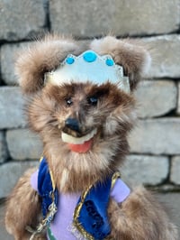 Image 1 of Miss Lacey