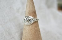 Image 5 of Bláthnaid 