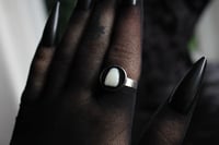 Image 5 of Dead Good single tooth ring