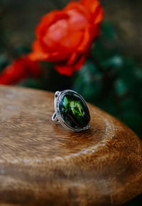 Preserved Beetle Ring