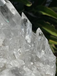 Image 11 of Clear Quartz Points Cluster Statement Piece #2446