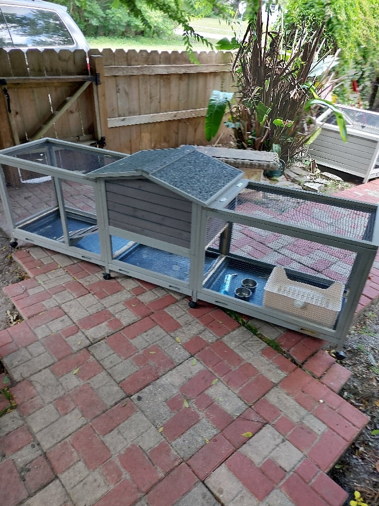 Image of Large hutch 