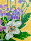 Anemone, Geranium, and Phlox 