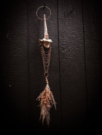 Image 4 of Dian Cecht