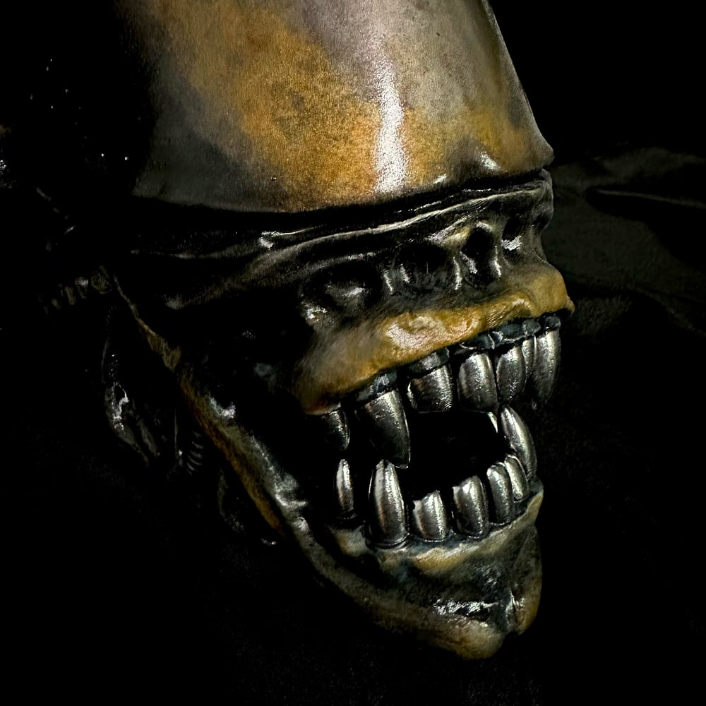1:1 Scale Xenomorph Warrior Trophy Head