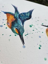 Image 7 of "Kingfishers" Original