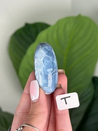 Image 20 of BLUE OPAL SHIVAS