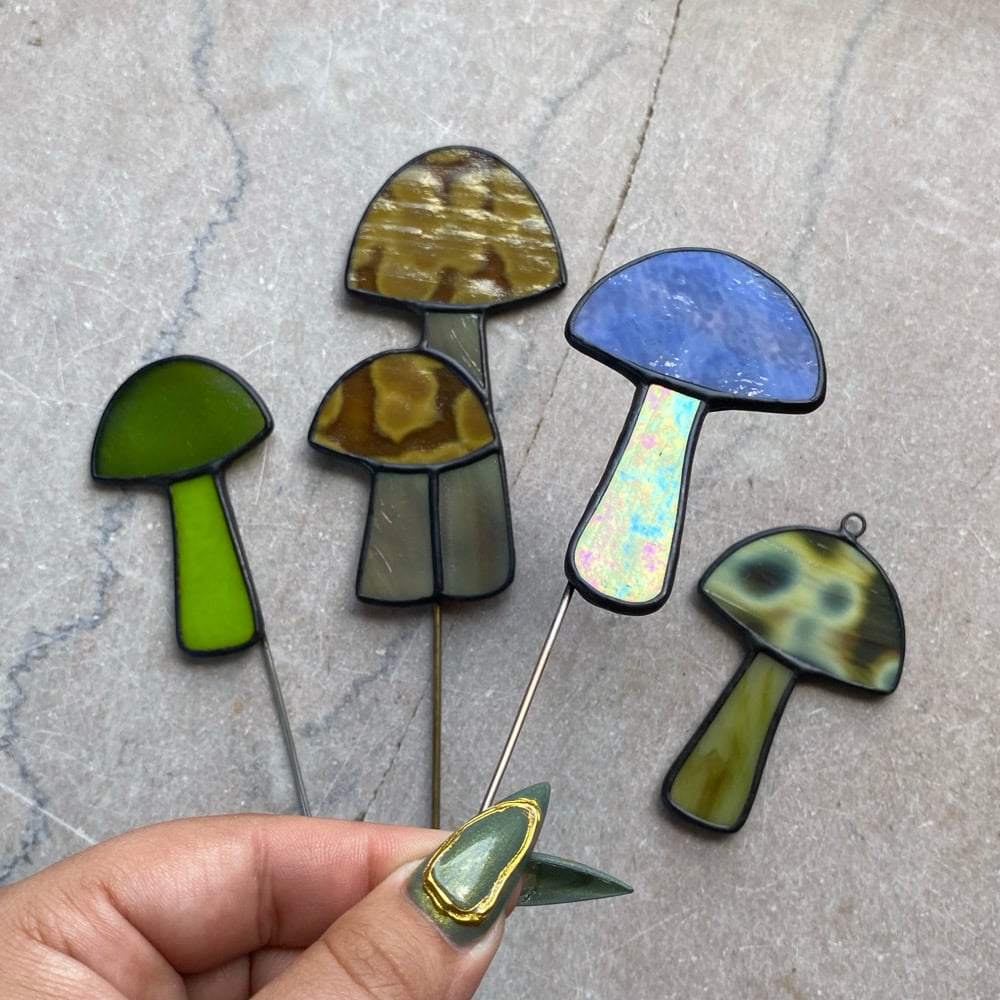 Image of Mushrooms