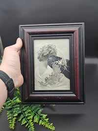 Image 2 of VICTORIAN SPIDER PEOPLE - real Preserved Web -7