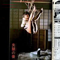 Image 12 of SM Secret Novel 1984 #3