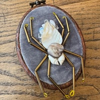 Image 1 of Spider (a, 2x2.5 inches)