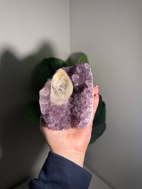 Image 1 of AMETHYST WITH INCLUDED RAINBOW CALCITE -URUGUAY-