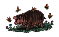 Baby Hippo 8”x10” Print