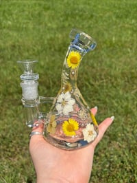 Image 3 of Marisol