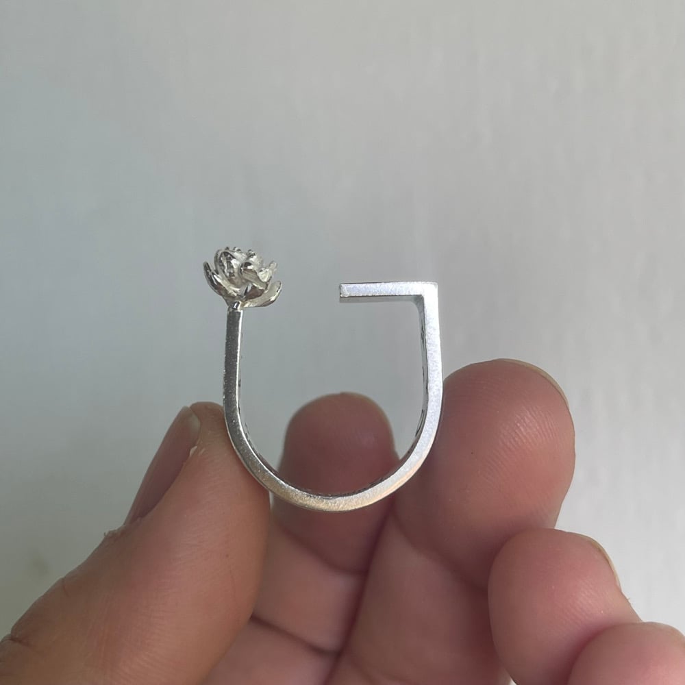 Image of seek magic everyday ring