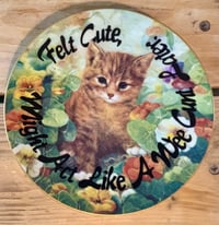 Image 2 of cuntish kitten